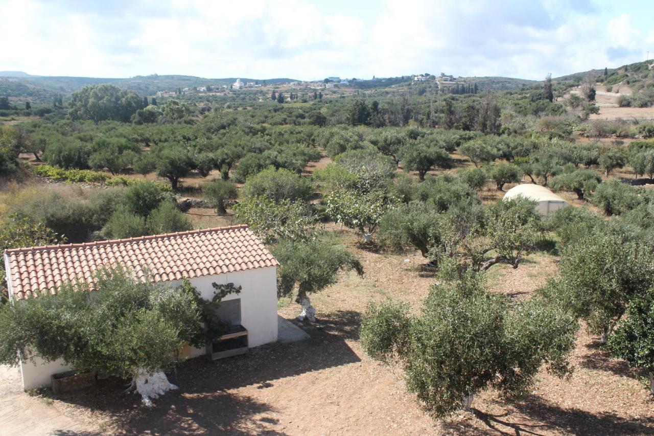 Theofilos Appartements Livadi (Kythira) Exterior foto