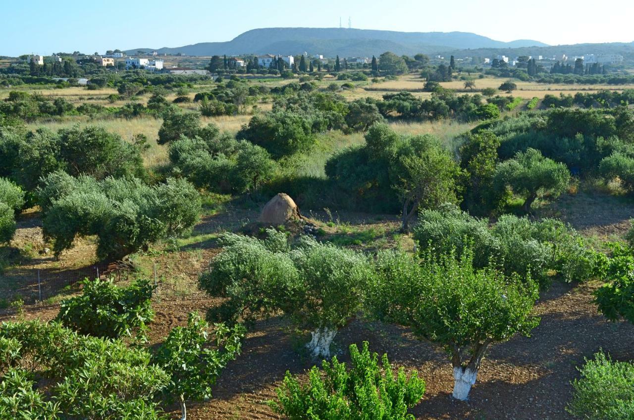 Theofilos Appartements Livadi (Kythira) Exterior foto